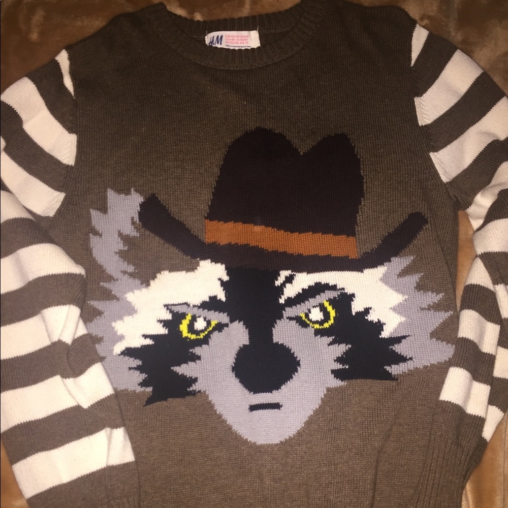 H&M Boys sweaters